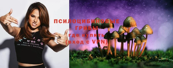 тгк Арсеньев
