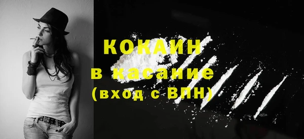 эйфоретик Аркадак