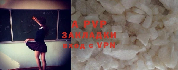 эйфоретик Аркадак
