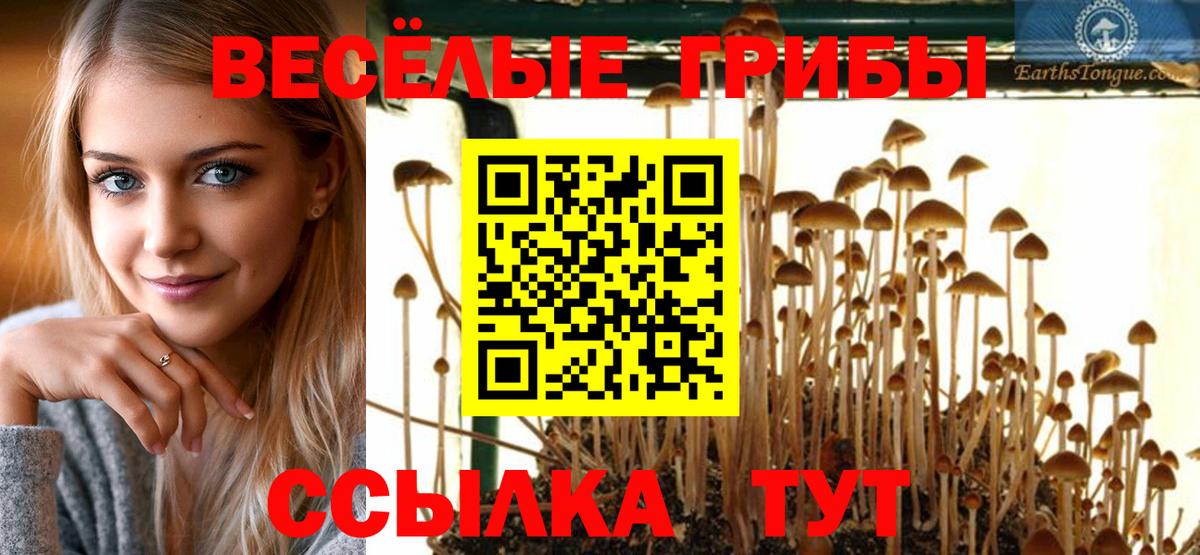 Строитель  Галлюциногенные грибы Cubensis  Вход с VPN 