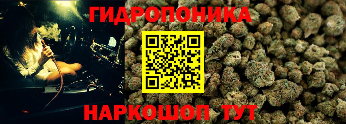 Шишки марихуана OG Kush  Каннабис семена  Бошки марихуана LSD WEED  Строитель  Марихуана гибрид  Вход с VPN 