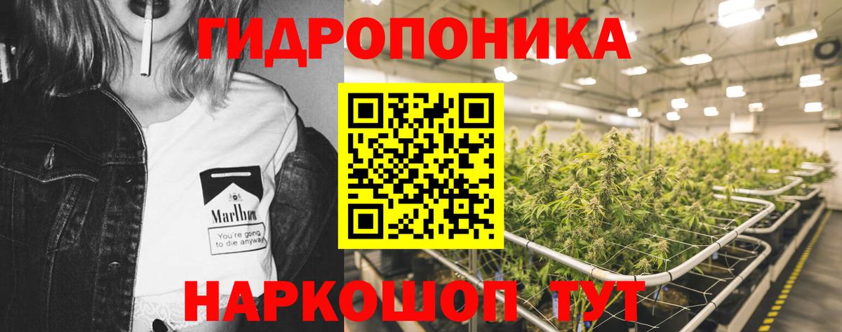 Бошки марихуана SATIVA & INDICA Строитель